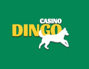  dingo italia casino